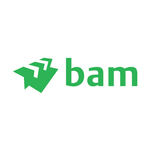 BAM logo