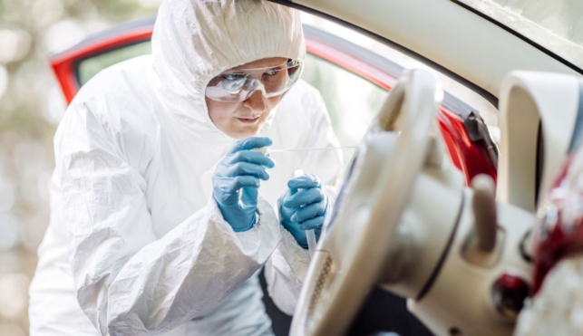 Photo of forensic scientist collecting swab evidence from a car steering wheel