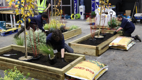 Young people competing in Horticulture competition