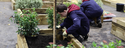 Young people competing in Horticulture competition
