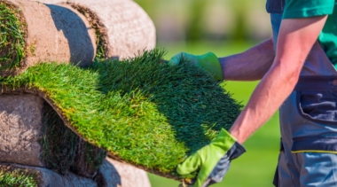 Photo of landscape gardener examining grass turf