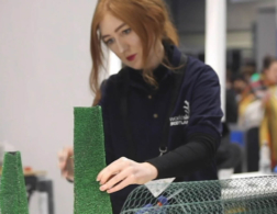 visual merchandising competitor