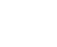 WorldSkills Europe Logo White